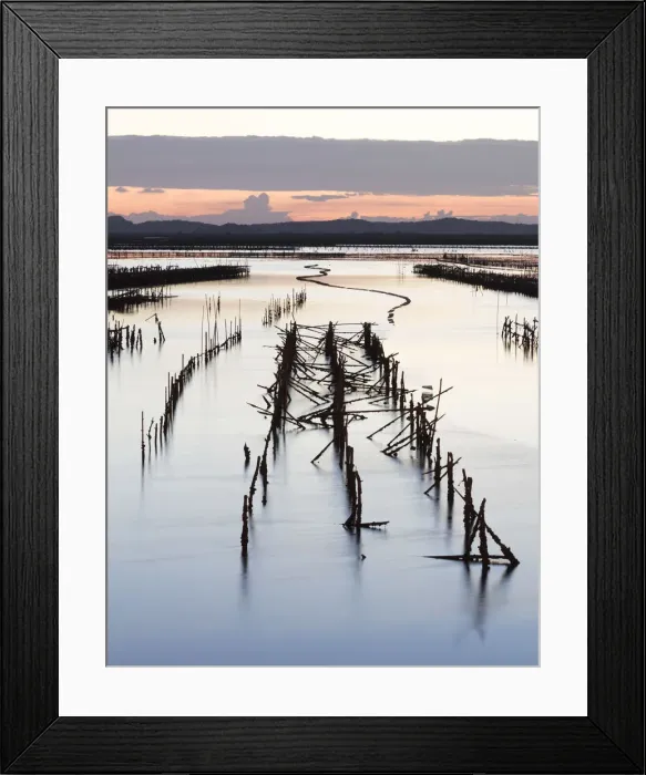 Framed Print : Oyster beds at sunset, Halong Bay, Quang Ninh Province, North-East Vietnam, South-East Framed Print : Oyster beds at sunset, Halong Bay, Quang Ninh Province, North-East Vietnam, South-East