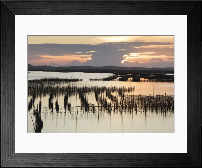 Framed Print : Oyster beds at sunset, Halong Bay, Quang Ninh Province, North-East Vietnam, South-East Framed Print : Oyster beds at sunset, Halong Bay, Quang Ninh Province, North-East Vietnam, South-East