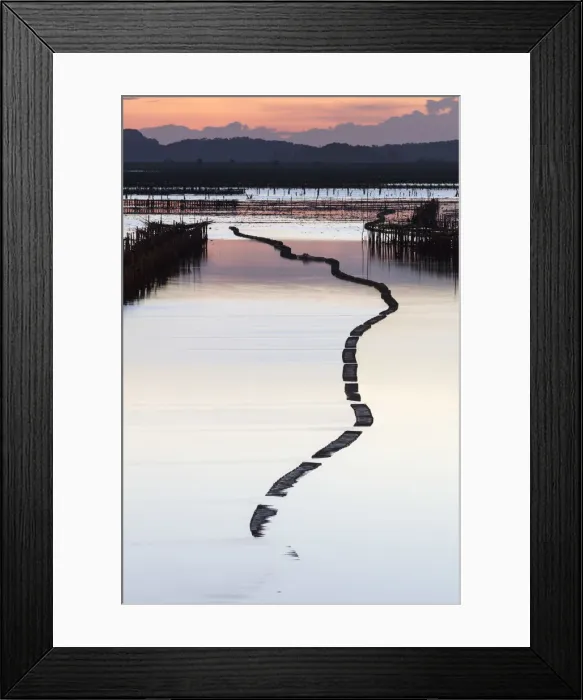 Framed Print : Oyster beds in the shape of a snake at sunset, Halong Bay, Quang Ninh Province, North-East