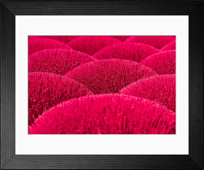 Framed Print : Incense sticks drying in the sun, Hung Yen province, Vietnam Framed Print : Incense sticks drying in the sun, Hung Yen province, Vietnam