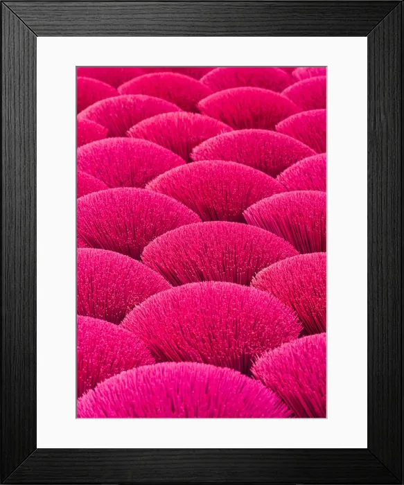 Framed Print : Incense sticks drying in the sun, Hung Yen province, Vietnam Framed Print : Incense sticks drying in the sun, Hung Yen province, Vietnam