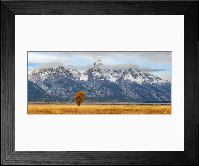 Framed Print : Mormon Row, Grand Teton National Park, Wyoming, USA Framed Print : Mormon Row, Grand Teton National Park, Wyoming, USA