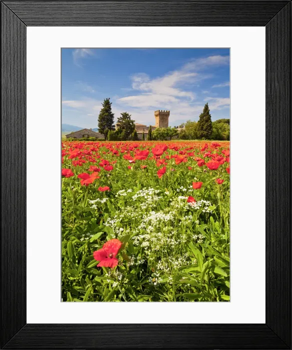 Framed Print : Casa Picchiata & Field of Poppies, near Pienza, Tuscany, Italy Framed Print : Casa Picchiata & Field of Poppies, near Pienza, Tuscany, Italy