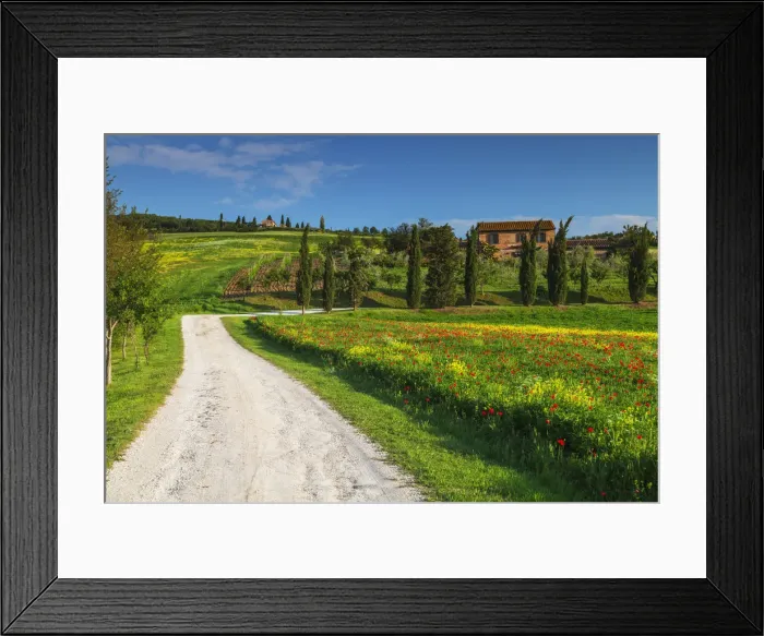 Framed Print : Road Leading to Villa, Tuscany, Italy Framed Print : Road Leading to Villa, Tuscany, Italy
