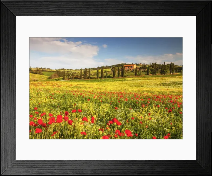 Framed Print : Field of Wildflowers & Villa, Tuscany, Italy Framed Print : Field of Wildflowers & Villa, Tuscany, Italy