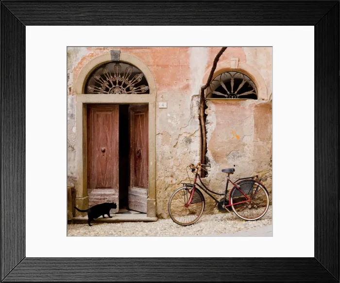 Framed Print : Bike & Black Cat, Monterosso al Mare, Cinque Terre, Liguria, Italy Framed Print : Bike & Black Cat, Monterosso al Mare, Cinque Terre, Liguria, Italy