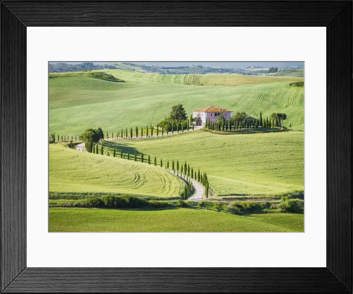 Framed Print : Winding Cypress Tree-lined Road & Villa, Montalcino, Tuscany, Italy Framed Print : Winding Cypress Tree-lined Road & Villa, Montalcino, Tuscany, Italy