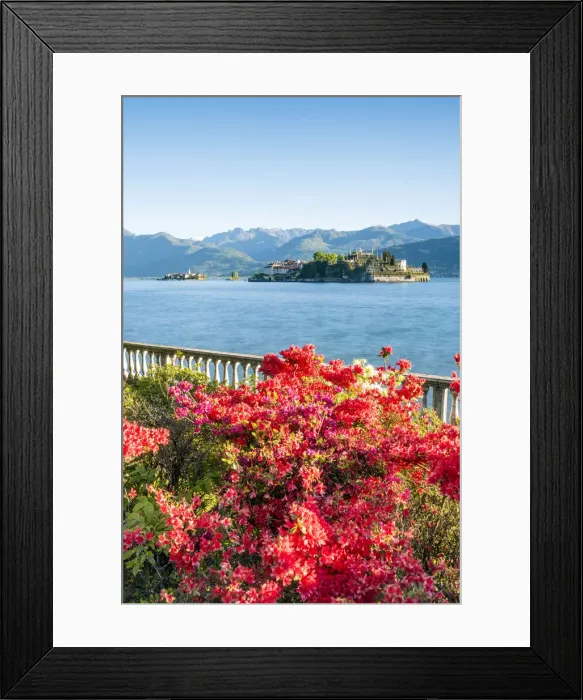 Framed Print : Stresa, Lake Maggiore, Verbano-Cusio-Ossola, Piedmont, Italy Framed Print : Stresa, Lake Maggiore, Verbano-Cusio-Ossola, Piedmont, Italy