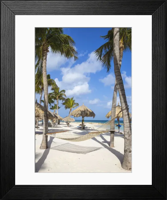 Framed Print : Caribbean, Netherland Antilles, Aruba, Hammock on Palm beach Framed Print : Caribbean, Netherland Antilles, Aruba, Hammock on Palm beach