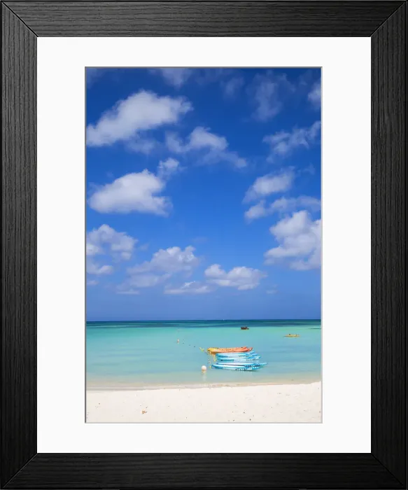 Framed Print : Caribbean, Netherland Antilles, Aruba, Palm beach Framed Print : Caribbean, Netherland Antilles, Aruba, Palm beach