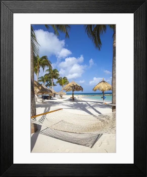 Framed Print : Caribbean, Netherland Antilles, Aruba, Hammock on Palm beach Framed Print : Caribbean, Netherland Antilles, Aruba, Hammock on Palm beach