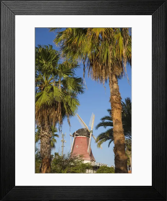 Framed Print : Caribbean, Netherland Antilles, Aruba, Old Dutch Windmill Framed Print : Caribbean, Netherland Antilles, Aruba, Old Dutch Windmill