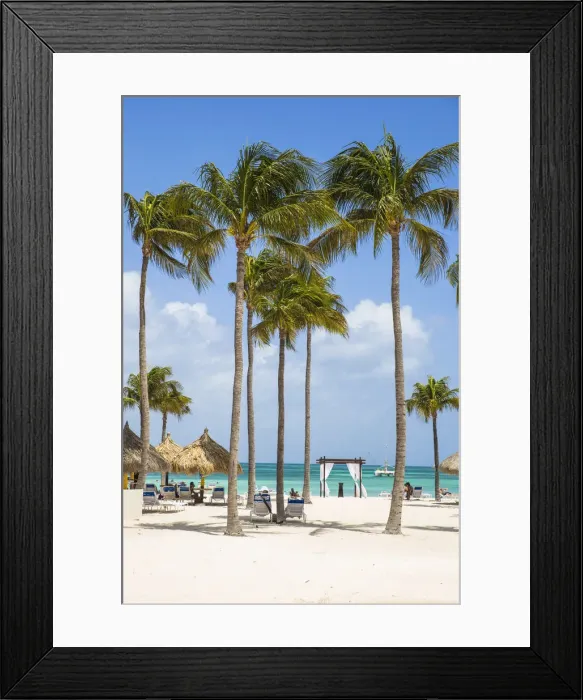 Framed Print : Caribbean, Netherland Antilles, Aruba, Palm beach Framed Print : Caribbean, Netherland Antilles, Aruba, Palm beach