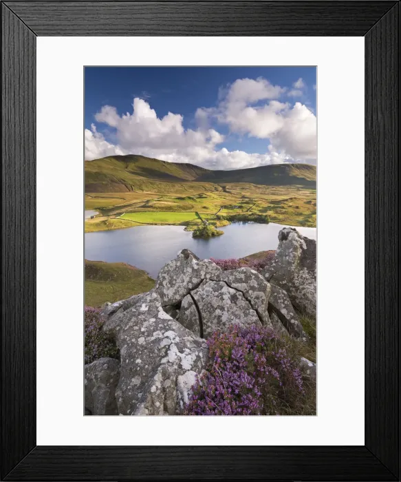 Framed Print : Llynnau Cregennen and Cadair Idris, Snowdonia National Park, Wales. Autumn (September) Framed Print : Llynnau Cregennen and Cadair Idris, Snowdonia National Park, Wales. Autumn (September)