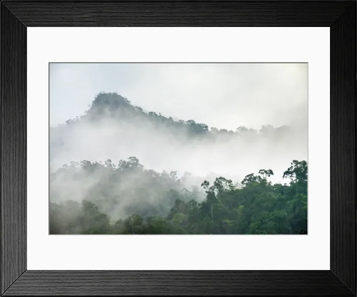 Framed Print : Foggy jungle landscape in Phong Nha-Ke Bang National Park, Bo Trach District, Quang Framed Print : Foggy jungle landscape in Phong Nha-Ke Bang National Park, Bo Trach District, Quang