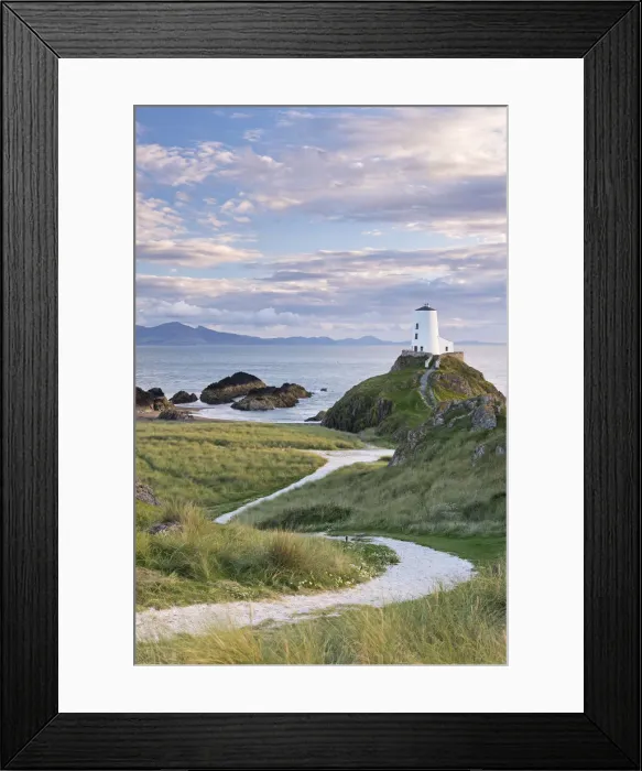 Framed Print : Path leading to T?r Mawr Lighthouse on Llanddwyn Island, Anglesey, Wales. Autumn Framed Print : Path leading to T?r Mawr Lighthouse on Llanddwyn Island, Anglesey, Wales. Autumn