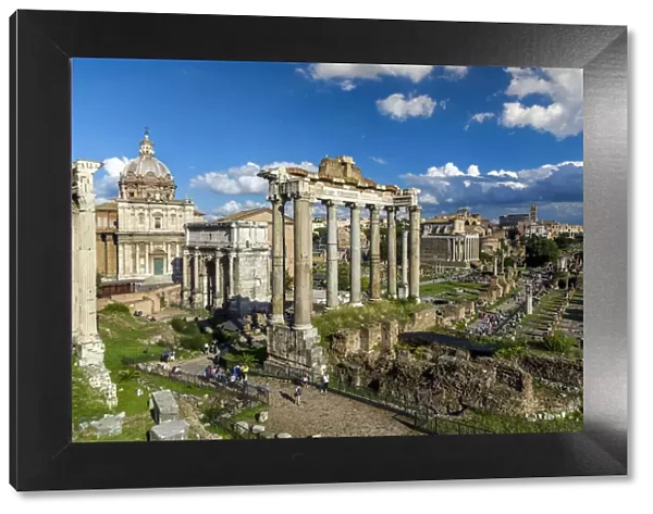 Roman Forum, Rome, Lazio, Italy