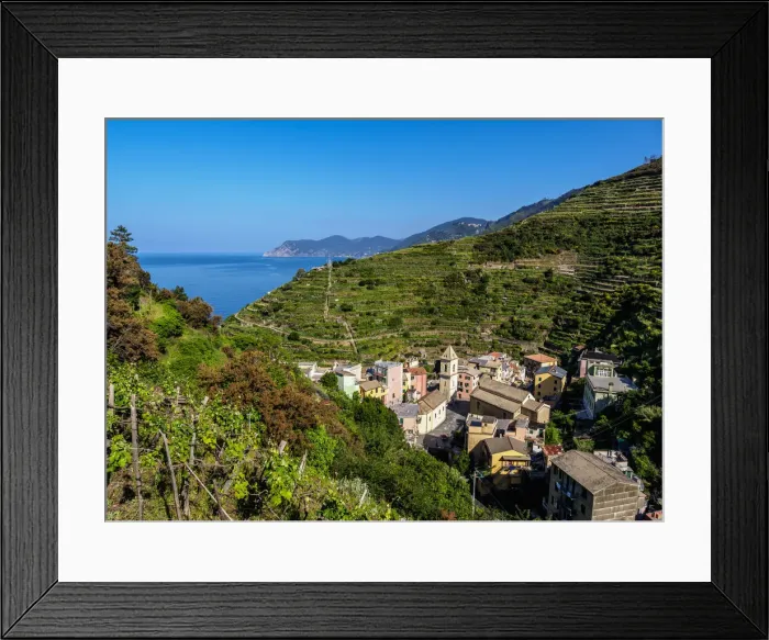 Framed Print : Vineyard in Manarola, Cinque Terre, UNESCO World Heritage Site, Liguria, Italy Framed Print : Vineyard in Manarola, Cinque Terre, UNESCO World Heritage Site, Liguria, Italy