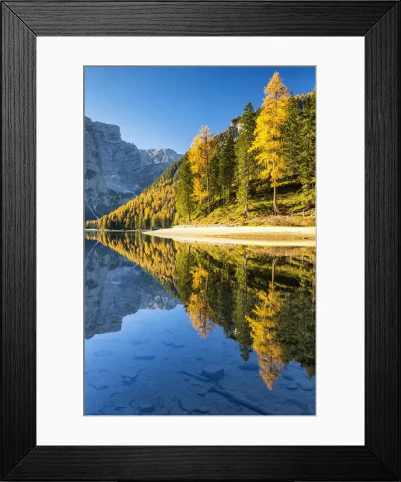 Framed Print : Lago di Braies in Autumn, South Tyrol, Bolzano, Dolomites, Italy Framed Print : Lago di Braies in Autumn, South Tyrol, Bolzano, Dolomites, Italy