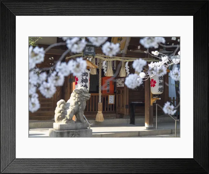 Framed Print : Ichinomiya shrine, Kobe, Kansai, Japan