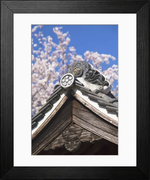 Framed Print : Cherry blossom at Kitano Tenman shrine, Kobe, Kansai, Japan