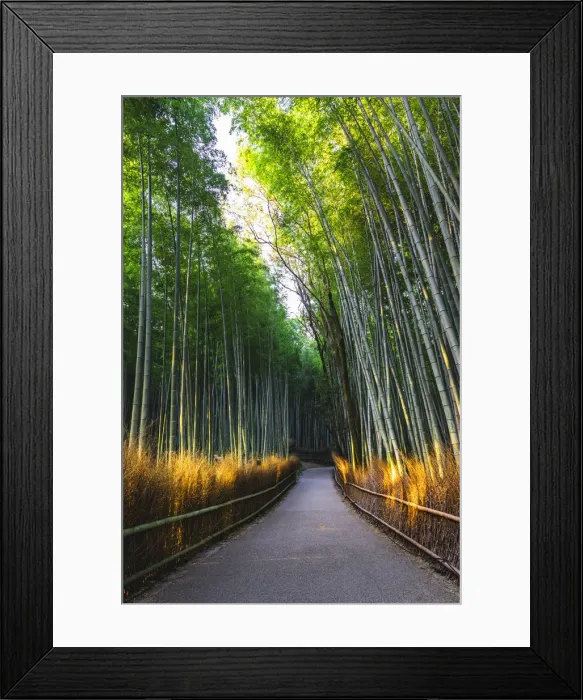 Framed Print : Arashiyama bamboo grove, Kyoto, Kyoto prefecture, Kansai region, Japan Framed Print : Arashiyama bamboo grove, Kyoto, Kyoto prefecture, Kansai region, Japan