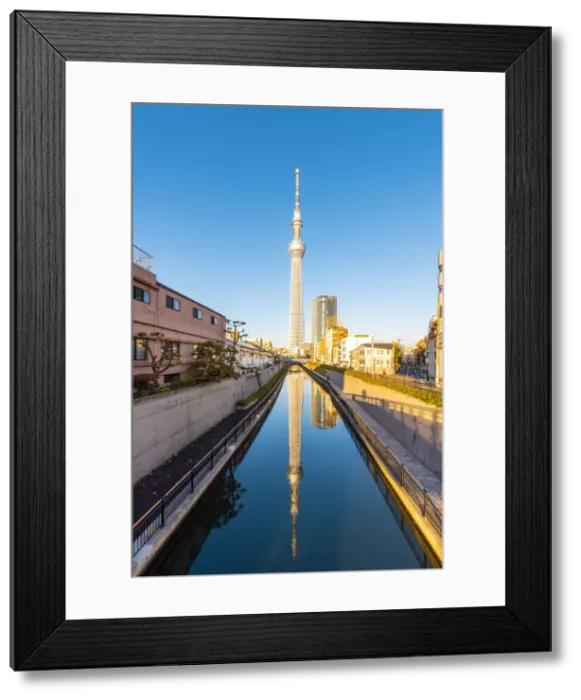 Framed Print : Tokyo Skytree, Sumida, Tokyo, Kanto region, Japan Framed Print : Tokyo Skytree, Sumida, Tokyo, Kanto region, Japan