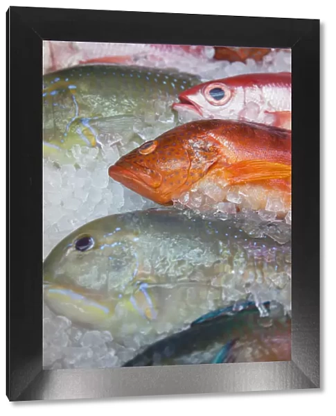 Fish at Makishi indoor market, Naha, Okinawa, Japan