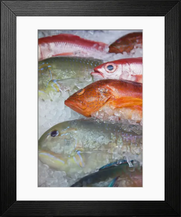 Framed Print : Fish at Makishi indoor market, Naha, Okinawa, Japan Framed Print : Fish at Makishi indoor market, Naha, Okinawa, Japan