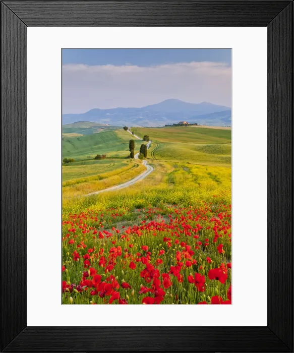 Framed Print : Road to Villa Terrapille, near Pienza, Tuscany, Italy