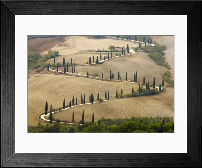 Framed Print : Winding Cypress Tree Lined Road, La Foce, Tuscany, Italy Framed Print : Winding Cypress Tree Lined Road, La Foce, Tuscany, Italy