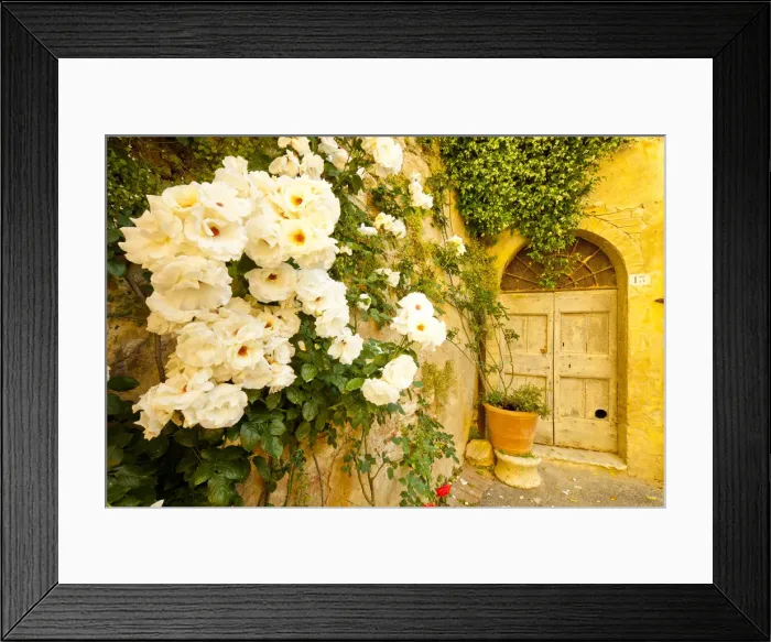 Framed Print : Roses & Courtyard Door, Lucignano d Asso, Tuscany, Italy Framed Print : Roses & Courtyard Door, Lucignano d Asso, Tuscany, Italy