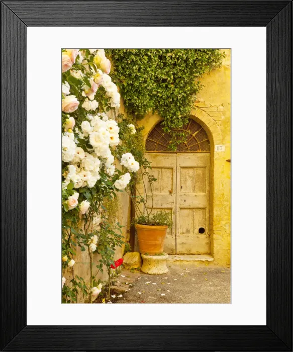 Framed Print : Roses & Door, Lucignano d Asso, Tuscany, Italy Framed Print : Roses & Door, Lucignano d Asso, Tuscany, Italy