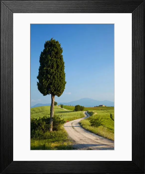 Framed Print : Road to Villa Terrapille, near Pienza, Tuscany, Italy Framed Print : Road to Villa Terrapille, near Pienza, Tuscany, Italy