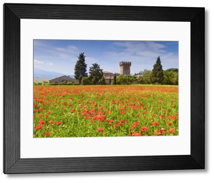 Framed Print : Casa Picchiata & Field of Poppies, near Pienza, Tuscany, Italy Framed Print : Casa Picchiata & Field of Poppies, near Pienza, Tuscany, Italy