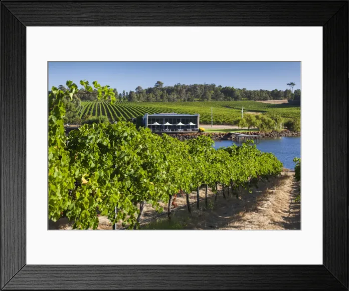 Framed Print : Australia, Western Australia, The Southwest, Margaret River Wine Region, Wilyabrup Framed Print : Australia, Western Australia, The Southwest, Margaret River Wine Region, Wilyabrup