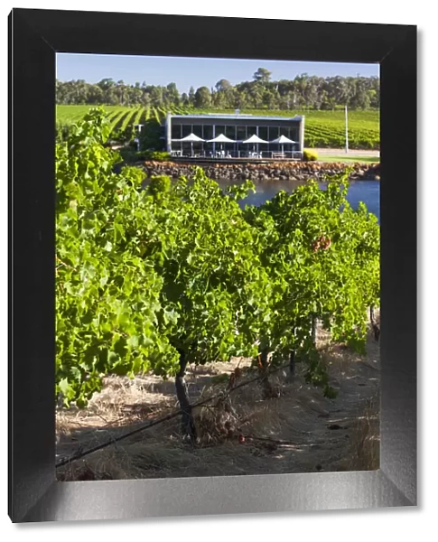 Australia, Western Australia, The Southwest, Margaret River Wine Region, Wilyabrup