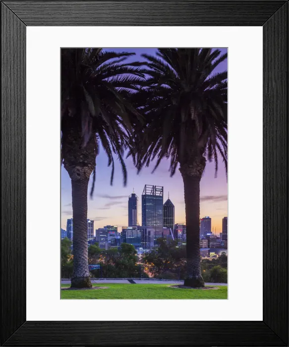 Framed Print : Australia, Western Australia, Perth, city skyline from Kings Park, dawn Framed Print : Australia, Western Australia, Perth, city skyline from Kings Park, dawn