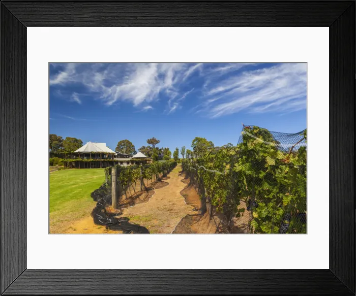 Framed Print : Australia, Western Australia, The Southwest, Margaret River Wine Region, Cowaramup Framed Print : Australia, Western Australia, The Southwest, Margaret River Wine Region, Cowaramup