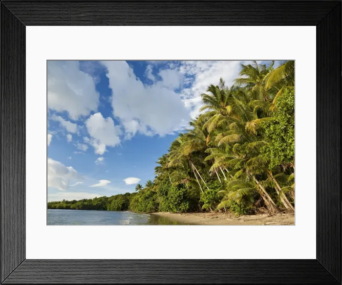 Framed Print : Beach, Cape Tribulation, Daintree National Park, Queensland, Australia Framed Print : Beach, Cape Tribulation, Daintree National Park, Queensland, Australia