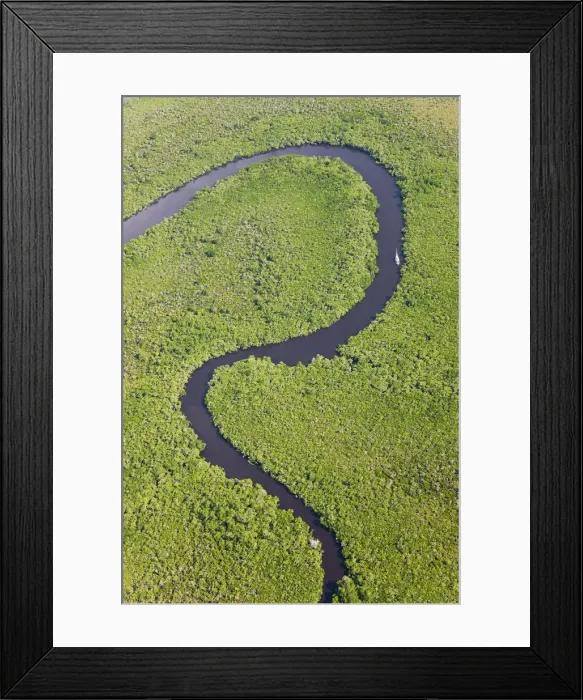 Framed Print : Sail boat & aerial view of rain forest, Daintree River, Daintree National Park, Queensland Framed Print : Sail boat & aerial view of rain forest, Daintree River, Daintree National Park, Queensland