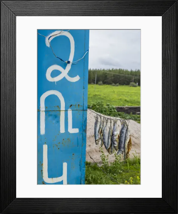 Framed Print : Armenia, Lake Sevan, Sevan, fish shacks selling smoked fish Framed Print : Armenia, Lake Sevan, Sevan, fish shacks selling smoked fish