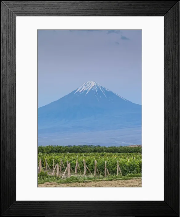 Framed Print : Armenia, Khor Virap, view of Little Mt. Ararat Framed Print : Armenia, Khor Virap, view of Little Mt. Ararat