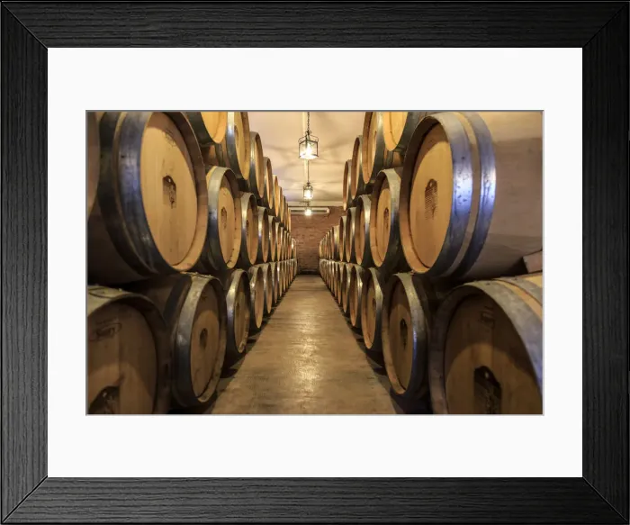Framed Print : Argentina, Salta, Cafayate, Bodega San Pedro de Yacoyuya, Torrontes Grape Wineries Framed Print : Argentina, Salta, Cafayate, Bodega San Pedro de Yacoyuya, Torrontes Grape Wineries