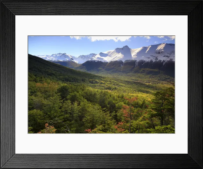 Framed Print : Argentina, Tierra del Fuego, Ushuaia, Tierra del Fuego National Park Framed Print : Argentina, Tierra del Fuego, Ushuaia, Tierra del Fuego National Park