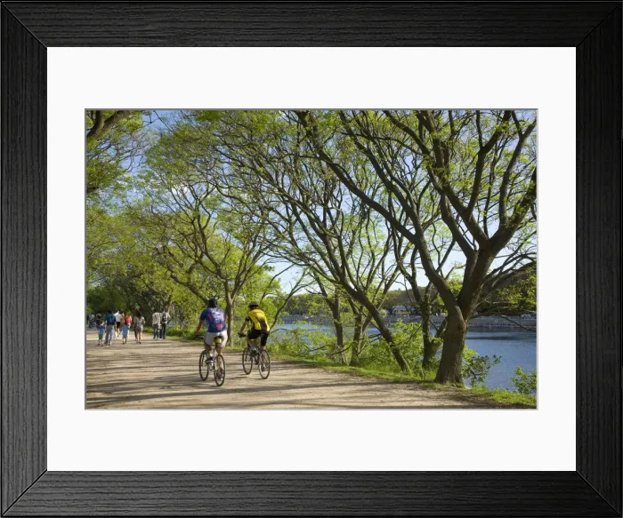 Framed Print : Reserva Ecologica Costanera Sur, Buenos Aires, Argentina