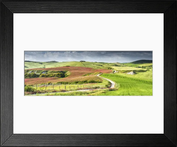 Framed Print : Road by Fields of Clover, Tuscany, Italy Framed Print : Road by Fields of Clover, Tuscany, Italy