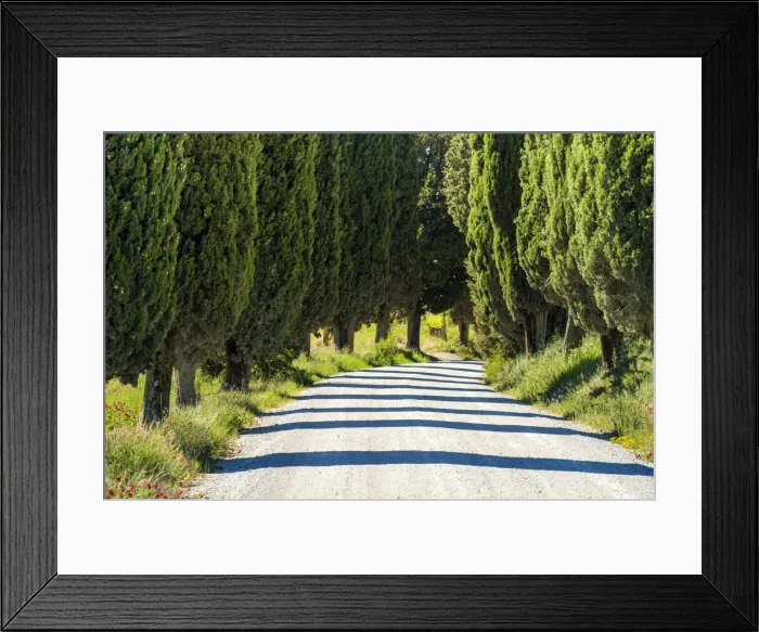 Framed Print : Country Lane Through Cypress Trees, Tuscany, Italy Framed Print : Country Lane Through Cypress Trees, Tuscany, Italy