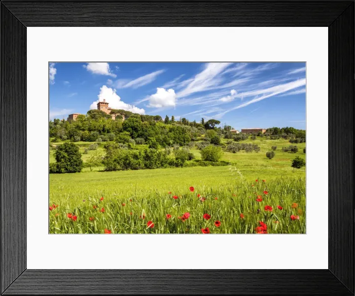 Framed Print : Palazzo Massaini & Poppies, Tuscany, Italy Framed Print : Palazzo Massaini & Poppies, Tuscany, Italy