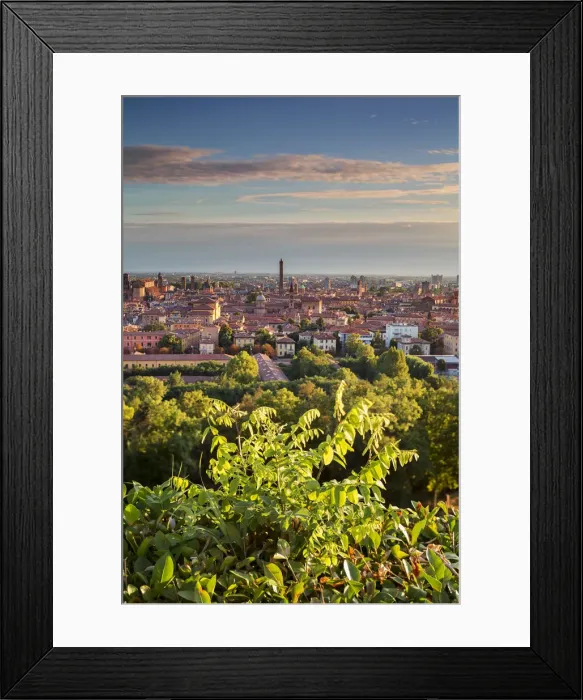Framed Print : Italy, Italia. Emilia-Romagna, Bologna district, Bologna. Skyline of the city